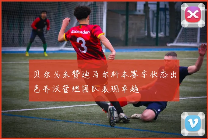 贝尔戈米赞迪马尔科本赛季状态出色齐沃管理团队表现卓越