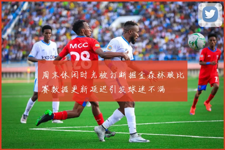 周末休闲时光被打断掘金森林狼比赛数据更新延迟引发球迷不满