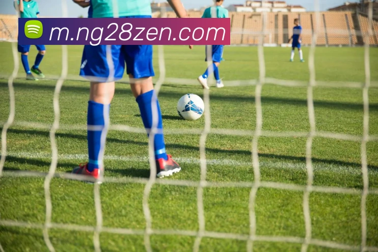 南宫28平台生态图