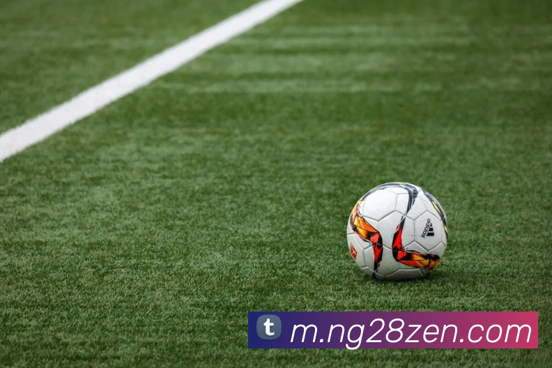 南宫28APP 封面图